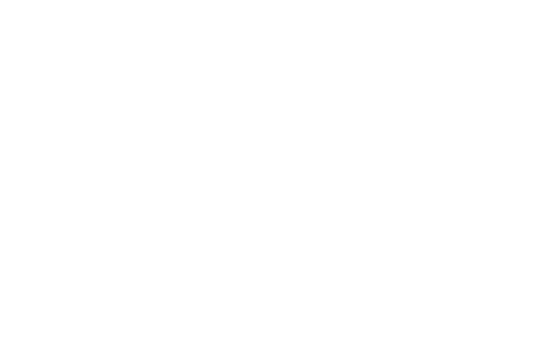 Los Angeles Tribune Official Selection